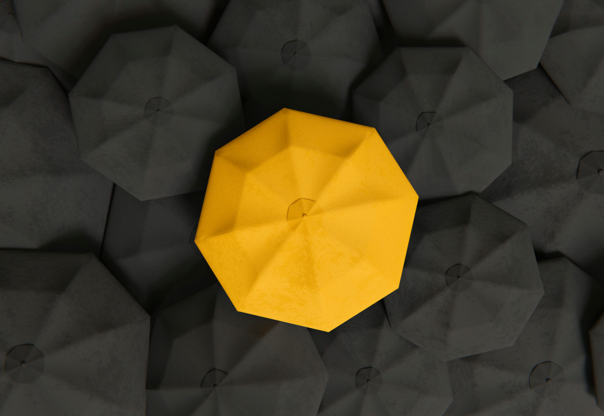 Development Image